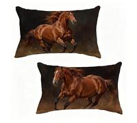 Housse Coussin 40x60 cm Lot de 2 Brun Housse De Coussin 40 x 60 cm Gros Coussin De Canapé Cheval Décoration Taie Oreiller Lin pour Decoration Chambre, Printemps été Cadeaux pour Femme S-3730MA