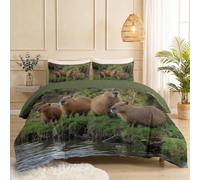 Housse de Couette 140 x 200 cm, Capybara Prairie Impression Microfibre Housse de Couette Set, Photographie Nature Doux Parure De Lit avec Fermeture Éclair et 2 Taies d'oreiller, Vert Militaire