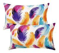 Housse de Coussin 30x40 cm Lot de 2 Housse Coussin Coloré Décoratif Canape Taie D'Oreiller Housses de Coussins Plumes Decoration Maison Salon Chambre pour Canapé avec Fermeture Éclair Invisible -SC510