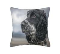Housse de Coussin décorative, taie d'oreiller Douce, 40 x 40 cm, pour Chambre à Coucher, canapé, Cocker Anglais, Grandes Oreilles bouclées, Noir
