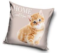 Housse de coussin motif chat bébé 40 x 40 cm (PNL214094)