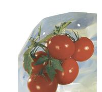 Housse de Croissance Tomate Tomatotube en Film perforé Jaune - avec Liens