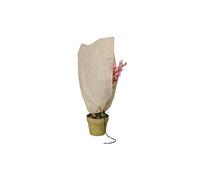 Housse d'hivernage et de protection pour plantes 80x60cm - lot de 2
