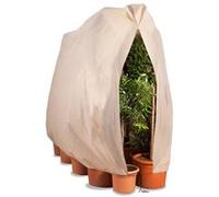 IDMarket Housse d'hivernage MARKET pour plantes et arbustes 200 x 240 cm