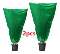 Housse d'hivernage pour Plante - Non tissé - Vert - 80*60cm et 100*80cm - Pack de 2 - Protection contre le gel