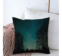 Housse d'oreiller Ciel Nocturne, Éveillé sous Les Étoiles, Mode Élégante, Bleu, Nature, Arbres, Parcs, Merveilleux Taie Coussin Moderne Taie d'oreiller 45X45 CM