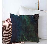 Housse d'oreiller Exposition Tête Sombre Gros Plan Couleur Plume De Paon Texture Horizontale Vintage Paon Nature Design Taie Coussin Super Doux Housses De Coussin 45X45 CM