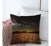 Housse d'oreiller Univers Champ Herbe Prairie Soleil Croissance Céréale De Blé Rural sous Les Étoiles du Coucher De Soleil Taies Oreiller Respirant Taie d'oreiller 45X45 CM