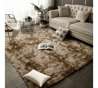 HOUXINZ Tapis de Salon Moelleux à Poils Longs 90 x 160 cm Lavable en Machine Tapis de Salon Moderne à Poils Longs Décoration pour Chambre à Coucher, Marron