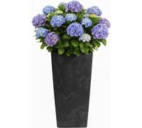 HowHomely | Bac à fleurs - Jardinière - noir - L40xH75 cm - Cache-pot - Structure en béton - Décoratif