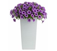 HowHomely | Jardinière - Pot de fleurs - blanc - L35 x H68 cm - Structure rainurée - Cache-pot - Bac à fleurs