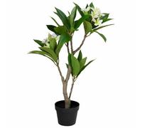 HowHomely Plante artificielle frangipanier blanc arbre artificiel fleurs décoration plante d'intérieur exotique salon bureau chambre jardin d'hiver sans entretien
