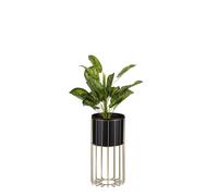 Howhomely Porte-fleurs moderne avec plante en métal 42 cm avec cadre doré et objets dans un design de loft branché