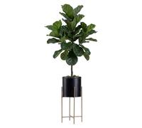 Howhomely | Porte-fleurs - Noir-Or - Hauteur 55 cm - En métal - Pour la maison et le balcon - Avec pot de fleurs