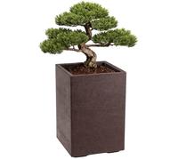 HowHomely | Pot de fleurs - bac à fleurs - marron - 60 x 40 x 40 cm - pot de fleurs sur roulettes - aspect bois - décoratif