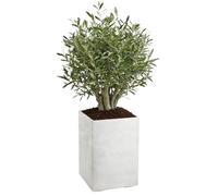 HowHomely | Pot de fleurs - cache-pot - crème - 60 x 40 x 40 cm - bac à fleurs - aspect bois - pratique