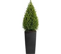 HowHomely | Pot de fleurs - Cache-pot - L40xH75 cm - noir - Jardinière - Structure rainurée - Bac à fleurs