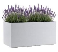 HowHomely, pot de fleurs sur roulettes, dimensions 39x78x39 cm, aspect béton crème