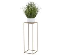 HowHomely Support de fleurs en métal beige - 70 cm de haut - Solide et robuste - Support de plantes pour la décoration dans le salon, la chambre à coucher ou le bureau