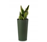 HowHomely Urbanika Eco Pot de fleurs exterieur en plastique Vert 9,5 l 46 x 25 x 25 cm Décoration, HH-URBANIKA-Z-46
