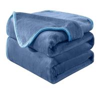 HOZY Plaid Couverture Polaire 220x240cm Bleu Clair Doux et Chaude - 350GSM Couverture de Lit 2 Personnes et Plaid Canapé Flanelle - Réversible Double Face