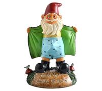 Hperu Statues de Nain Sexy en résine de 15 cm, Nains Jardin Amusants en Couleur, Dites Bonjour à Mon Petit ami Coquin pour décoration Porche, pelouse, Cour, Vert - Statues Nain Sexy Dites bonjou