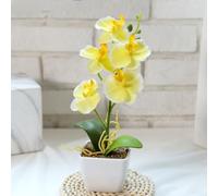 HpLive Orchidées artificielles dans des pots - Fleurs artificielles en pot - 5 têtes - Phalaenopsis - Petit bonsaï pour mariage, fête, décoration de table - Composition florale - Décoration de maison