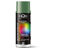 HQS Bombe de peinture acrylique, couleurs Ral (Ral 6011 - Vert réséda)