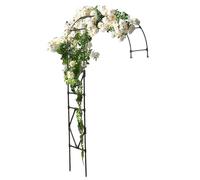 HSHBGS Demi Arche de Jardin, Treille Métallique pour Mariage, Support de Plantes en Métal pour Extérieur, Résistante à la Rouille et à la Décoloration(210cm)