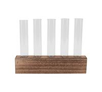 Huairdum Station de Propagation des Plantes, Terrarium de Plantes en Verre, Mini Présentoir de Tubes à Essai avec Support en Bois, Idéal pour la Décoration Intérieure et la Violette Africaine (5