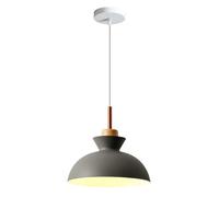 HUAYUSEDF Lampe à suspension de style industriel moderne, lampe suspendue tête unique, lustre réglable en hauteur métal 11 pouces, luminaires décoration bar salon d'îlot cuisine