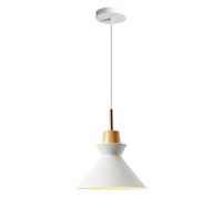HUAYUSEDF Lampe suspendue de style industriel nordique, suspension à tête unique encastrée, lustre réglable en hauteur vis E26, luminaires décoration chambre coucher salon restaurant