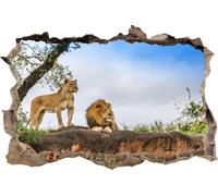 HUBDECO Papier peint cuisine autocollant - Papier peint autocollant avec effet de trou 3D - sans reflet de lumière - sur carrelage, plexi, meubles, armoires, miroirs - 115 x 170 cm Lion Afrique