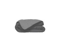 HUDSON Couette legere Microfibre 200g/m2 220x240cm Acier + Argent