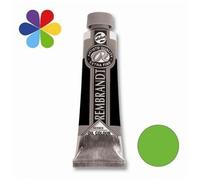 Huile S3 - 40ml - Vert Permanent C 618 - Rembrandt