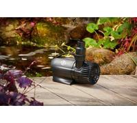 Humidificateur de bassin - Gamme Premium - Lampe UV - Lutte contre les algues - Filtre à eau