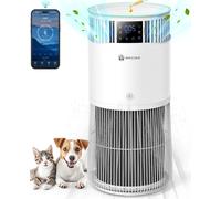 Humidificateur et purificateur d'air P2 - 2-en-1 sans buée - Filtre HEPA H13 et filtre à charbon actif - Fonctionnement silencieux ≤ 40 dB - 50 W - Convient aux pièces de 41 à 60 m²