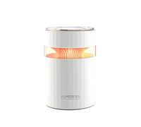 Humidificateur pour chambre à coucher Humidificateur d'air USB à Double buse, capacité d'eau de 900ML, brumisateur brume fraîche avec veilleuse colorée, humidificateur ultrasonique(Blanc)