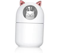 Humidificateur USB portable et silencieux avec lumière LED colorée pour les bureaux, les chambres et les voitures (blanc)