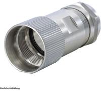 HUMMEL M23 Signal INOX Connecteur de câble droit Sortie de câble droite, plage de serrage 3,0 mm - 7,0 mm Couleur argent - 1 pièce