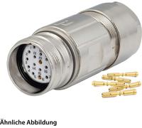 HUMMEL SET avec contacts M23 Connecteur de couplage de signal, insert à sertir droit Nombre de pôles 17 pôles, prise Sortie de câble
