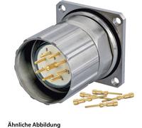 HUMMEL SET avec contacts M23 Connecteur de signal, insert à sertir droit, nombre de pôles 11+PE, broche avec écrou moleté
