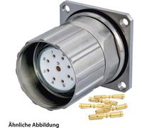 HUMMEL SET avec contacts M23 Connecteur de signal, insert à sertir droit, nombre de pôles 11+PE, douille avec écrou moleté