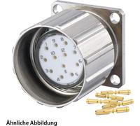 HUMMEL SET avec contacts M23 Connecteur de signal, insert à sertir droit, nombre de pôles 11+PE, douille avec écrou moleté