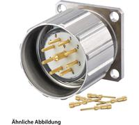 HUMMEL SET avec contacts M23 Connecteur de signal, insert à sertir droit, nombre de pôles 12, broche avec écrou moleté