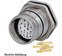 HUMMEL SET avec contacts M23 Connecteur de signal, insert à sertir droit, nombre de pôles 17, douille avec contre-écrou