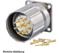 HUMMEL SET avec contacts M23 Connecteur de signal, insert à sertir droit Nombre de pôles 6 pôles, broche avec moletage
