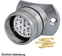 HUMMEL SET avec contacts M23 Connecteur de signalisation Rayon 29 mm, sertissage droit Nombre de pôles 11+PE, prise avec