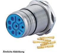 HUMMEL SET avec contacts M23 Puissance Connecteur d'appareil, insert à sertir droit Nombre de pôles 5+PE, douille avec contre-écrou