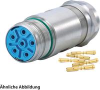 HUMMEL SET avec contacts M23 Puissance Connecteur de couplage INOX, sertissage droit Nombre de pôles 3+4+PE, prise Plage de serrage